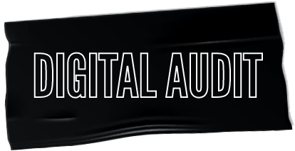 Digital Audit