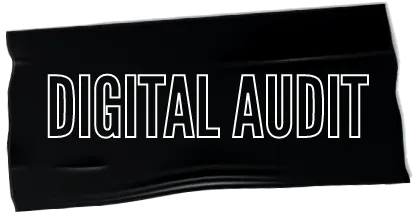 Digital Audit