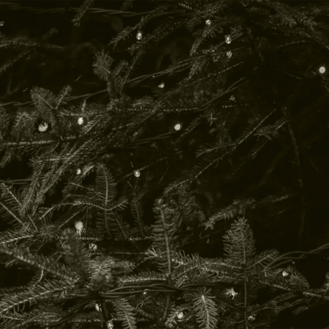 Christmas Tree Worldthumbnail