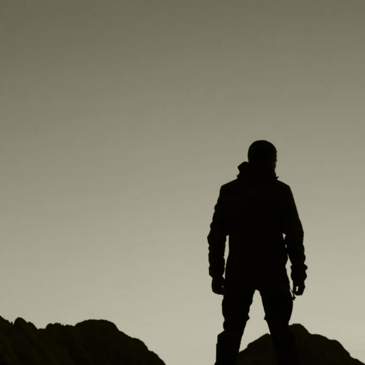 WildBoundsthumbnail
