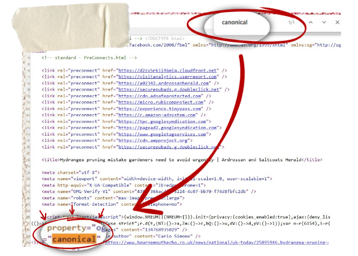Content Syndications in DPR - Do They Matter? - 6- Dark Horse screenshot showing how to find canonical tag within page source
